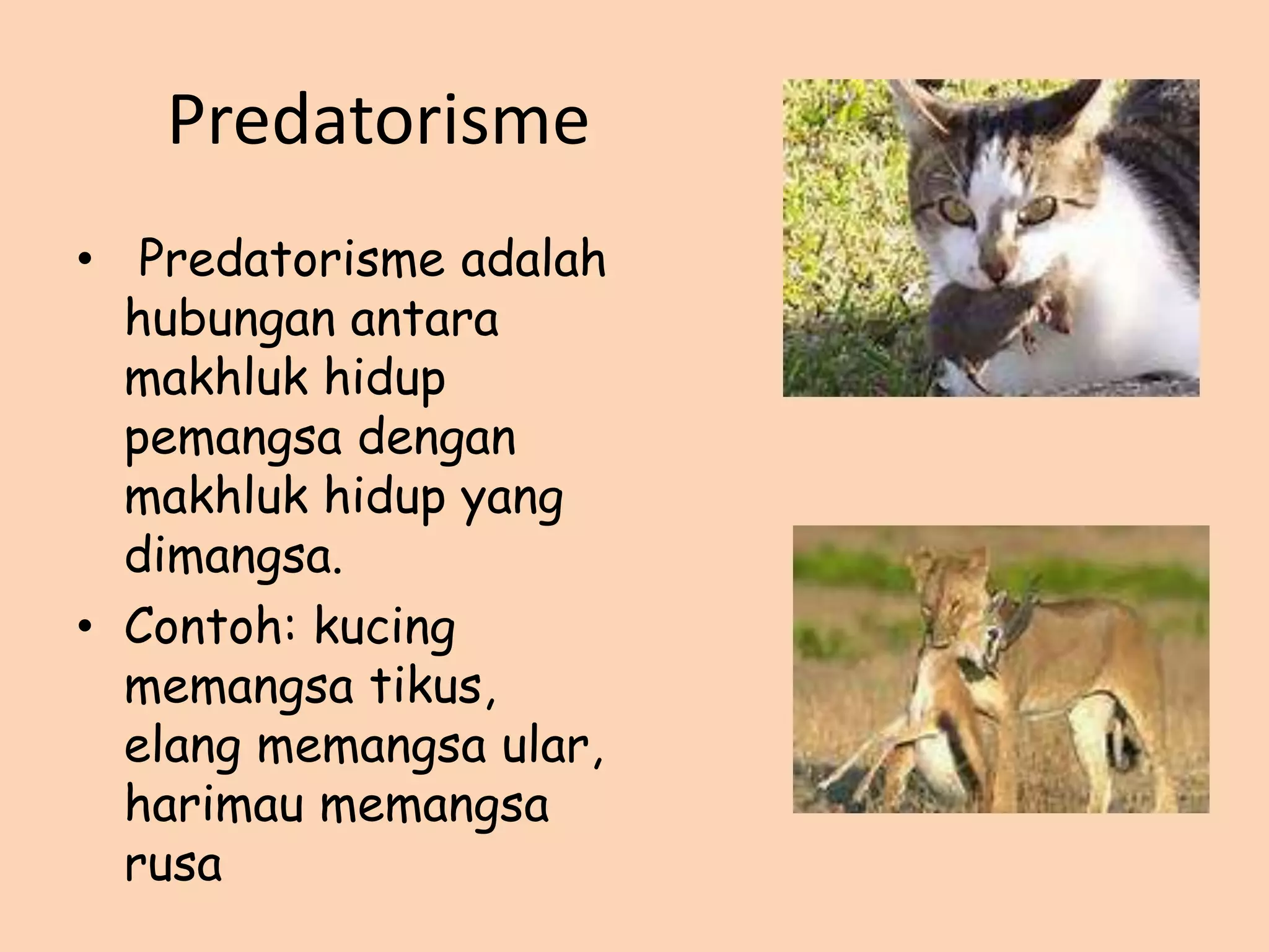 Ppt ekosistem tema 5 | PDF