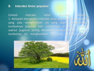 Contoh interaksi antar populasi adalah:
1. Alelopati merupakan interaksi antar populasi, bila populasi
yang satu menghasilkan zat yang dapat menghalangi
tumbuhnya populasi lain. Contohnya, di sekitar pohon
walnut (juglans) jarang ditumbuhi tumbuhan lain karena
tumbuhan ini menghasilkan zat yang bersifat toksik.
B. Interaksi Antar populasi
 