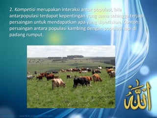 2. Kompetisi merupakan interaksi antar populasi, bila
antarpopulasi terdapat kepentingan yang sama sehingga terjadi
persaingan untuk mendapatkan apa yang diperlukan. Contoh,
persaingan antara populasi kambing dengan populasi sapi di
padang rumput.
 