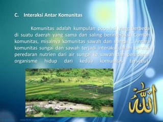 Komunitas adalah kumpulan populasi yang berbeda
di suatu daerah yang sama dan saling berinteraksi. Contoh
komunitas, misalnya komunitas sawah dan sungai. . Antara
komunitas sungai dan sawah terjadi interaksi dalam bentuk
peredaran nutrien dari air sungai ke sawah dan peredaran
organisme hidup dari kedua komunitas tersebut.
C. Interaksi Antar Komunitas
 
