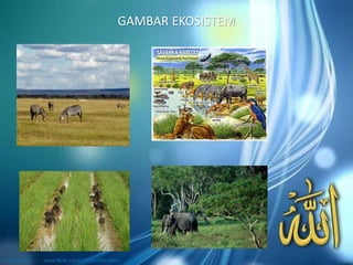 GAMBAR EKOSISTEM
 
