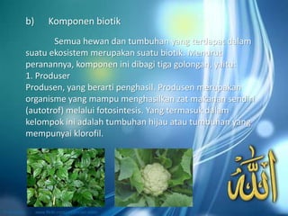 Semua hewan dan tumbuhan yang terdapat dalam
suatu ekosistem merupakan suatu biotik. Menurut
peranannya, komponen ini dibagi tiga golongan, yaitu:
1. Produser
Produsen, yang berarti penghasil. Produsen merupakan
organisme yang mampu menghasilkan zat makanan sendiri
(autotrof) melalui fotosintesis. Yang termasuk dalam
kelompok ini adalah tumbuhan hijau atau tumbuhan yang
mempunyai klorofil.
b) Komponen biotik
 