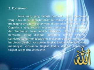 Konsumen, yang berarti pemakai, yaitu organisme
yang tidak dapat menghasilkan zat makanan sendiri tetapi
menggunakan zat makanan yang dibuat oleh organisme lain.
Organisme yang secara langsung mengambil zat makanan
dari tumbuhan hijau adalah herbivora. Oleh karena itu,
herbivora sering disebut konsumen tingkat pertama.
Karnivora yang mendapatkann makanan dengan memangsa
herbivora disebut konsumen tingkat kedua. Karnivora yang
memangsa konsumen tingkat kedua disebut konsumen
tingkat ketiga dan seterusnya.
2. Konsumen
 