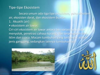 Secara umum ada tiga tipe ekosistem, yaitu ekositem
air, ekosisten darat, dan ekosistem buatan.
1. Akuatik (air)
• ekosistem air tawar.
Ciri-ciri ekosistem air tawar antara lain variasi suhu tidak
menyolok, penetrasi cahaya kurang, dan terpengaruh oleh
iklim dan cuaca. Macam tumbuhan yang terbanyak adalah
jenis ganggang, sedangkan lainnya tumbuhan biji.
Tipe-tipe Ekosistem
 
