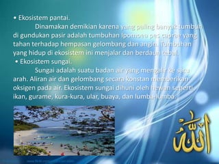 • Ekosistem pantai.
Dinamakan demikian karena yang paling banyak tumbuh
di gundukan pasir adalah tumbuhan Ipomoea pes caprae yang
tahan terhadap hempasan gelombang dan angin. Tumbuhan
yang hidup di ekosistem ini menjalar dan berdaun tebal.
• Ekosistem sungai.
Sungai adalah suatu badan air yang mengalir ke satu
arah. Aliran air dan gelombang secara konstan memberikan
oksigen pada air. Ekosistem sungai dihuni oleh hewan seperti
ikan, gurame, kura-kura, ular, buaya, dan lumba-lumba.
 