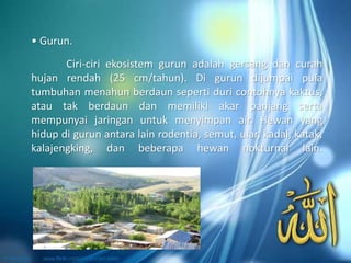 Ciri-ciri ekosistem gurun adalah gersang dan curah
hujan rendah (25 cm/tahun). Di gurun dijumpai pula
tumbuhan menahun berdaun seperti duri contohnya kaktus,
atau tak berdaun dan memiliki akar panjang serta
mempunyai jaringan untuk menyimpan air. Hewan yang
hidup di gurun antara lain rodentia, semut, ular, kadal, katak,
kalajengking, dan beberapa hewan nokturnal lain.
• Gurun.
 