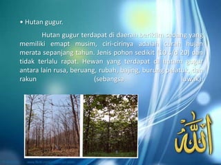 Hutan gugur terdapat di daerah beriklim sedang yang
memiliki emapt musim, ciri-cirinya adalah curah hujan
merata sepanjang tahun. Jenis pohon sedikit (10 s/d 20) dan
tidak terlalu rapat. Hewan yang terdapat di hutam gugur
antara lain rusa, beruang, rubah, bajing, burung pelatuk, dan
rakun (sebangsa luwak).
• Hutan gugur.
 