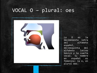 VOCAL O – plural: oes
La O es la
decimosexta letra
del alfabeto
español,
decimoquinta del
alfabeto latino
básico y la cuar...