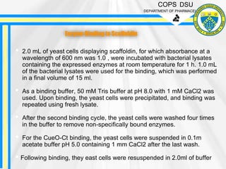 COPS DSU
DEPARTMENT OF PHARMACEUTICS
• 2.0 mL of yeast cells displaying scaffoldin, for which absorbance at a
wavelength of 600 nm was 1.0 , were incubated with bacterial lysates
containing the expressed enzymes at room temperature for 1 h. 1.0 mL
of the bacterial lysates were used for the binding, which was performed
in a final volume of 15 ml.
• As a binding buffer, 50 mM Tris buffer at pH 8.0 with 1 mM CaCl2 was
used. Upon binding, the yeast cells were precipitated, and binding was
repeated using fresh lysate.
• After the second binding cycle, the yeast cells were washed four times
in the buffer to remove non-specifically bound enzymes.
• For the CueO-Ct binding, the yeast cells were suspended in 0.1m
acetate buffer pH 5.0 containing 1 mm CaCl2 after the last wash.
• Following binding, they east cells were resuspended in 2.0ml of buffer
Enzyme Binding to Scaffoldin
 