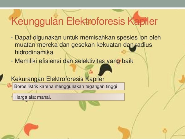 Ppt elektroforesis