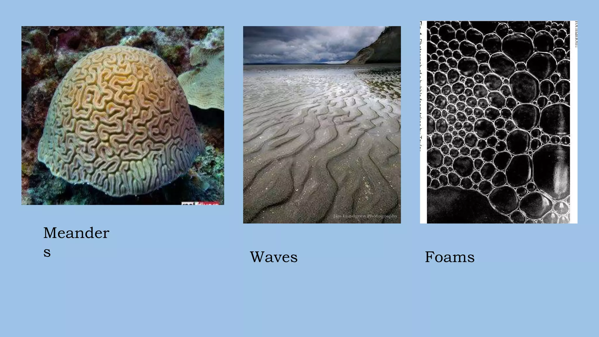 Meander
s Waves Foams
 