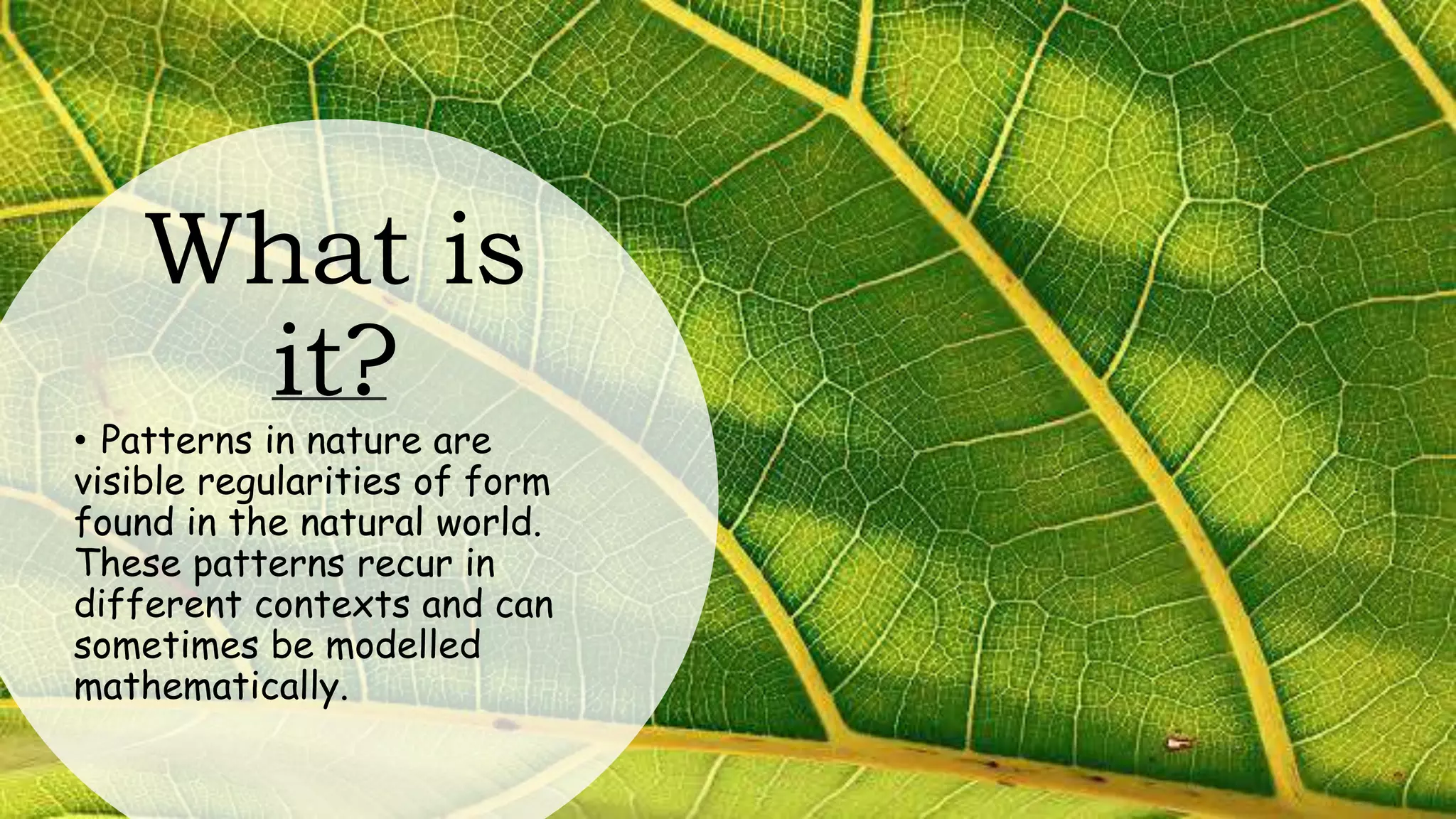 What is
it?
• Patterns in nature are
visible regularities of form
found in the natural world.
These patterns recur in
different contexts and can
sometimes be modelled
mathematically.
 
