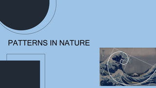 PATTERNS IN NATURE
 