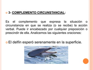  3- COMPLEMENTO CIRCUNSTANCIAL:
Es el complemento que expresa la situación o
circunstancia en que se realiza (o se recibe) la acción
verbal. Puede ir encabezado por cualquier preposición o
prescindir de ella. Analicemos las siguientes oraciones:
 El delfín esperó serenamente en la superficie.
 