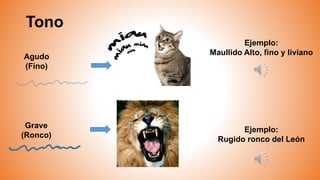 Tono
Agudo
(Fino)
Grave
(Ronco)
Ejemplo:
Rugido ronco del León
Ejemplo:
Maullido Alto, fino y liviano