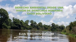 ELVA TERCEROS CUÉLLAR
MAGISTRADA DEL TRIBUNAL AGROAMBIENTAL
Mayo 2020, Sucre-Bolivia
 