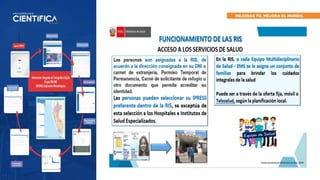Gestión de Redes Integradas de Salud y Estructura Orgánica del MINSA en ...