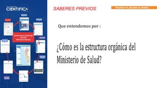 Gestión de Redes Integradas de Salud y Estructura Orgánica del MINSA en ...