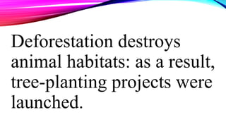 Deforestation destroys
animal habitats: as a result,
tree-planting projects were
launched.
 