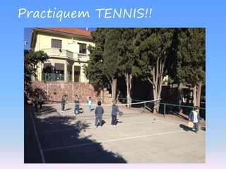 Practiquem TENNIS!!

 