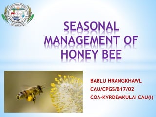 BABLU HRANGKHAWL
CAU/CPGS/B17/02
COA-KYRDEMKULAI CAU(I)
SEASONAL
MANAGEMENT OF
HONEY BEE
 