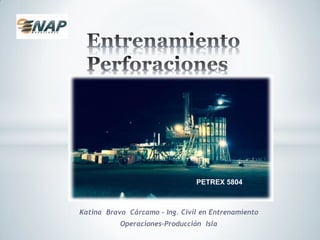 Katina Bravo Cárcamo - Ing. Civil en Entrenamiento
Operaciones-Producción Isla
EQUIPO PETREX 5804
PETREX 5804
 