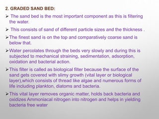 2. GRADED SAND BED:
 The sand bed is the most important component as this is filtering
the water.
 This consists of sand of different particle sizes and the thickness .
The finest sand is on the top and comparatively coarse sand is
below that.
Water percolates through the beds very slowly and during this is
subjected to mechanical straining, sedimentation, adsorption,
oxidation and bacterial action.
This filter is called as biological filter because the surface of the
sand gets covered with slimy growth (vital layer or biological
layer),which consists of thread like algae and numerous forms of
life including plankton, diatoms and bacteria.
This vital layer removes organic matter, holds back bacteria and
oxidizes Ammoniacal nitrogen into nitrogen and helps in yielding
bacteria free water
 