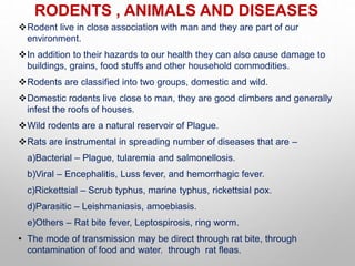 RODENTS , ANIMALS AND DISEASES
Rodent live in close association with man and they are part of our
environment.
In addition to their hazards to our health they can also cause damage to
buildings, grains, food stuffs and other household commodities.
Rodents are classified into two groups, domestic and wild.
Domestic rodents live close to man, they are good climbers and generally
infest the roofs of houses.
Wild rodents are a natural reservoir of Plague.
Rats are instrumental in spreading number of diseases that are –
a)Bacterial – Plague, tularemia and salmonellosis.
b)Viral – Encephalitis, Luss fever, and hemorrhagic fever.
c)Rickettsial – Scrub typhus, marine typhus, rickettsial pox.
d)Parasitic – Leishmaniasis, amoebiasis.
e)Others – Rat bite fever, Leptospirosis, ring worm.
• The mode of transmission may be direct through rat bite, through
contamination of food and water. through rat fleas.
 