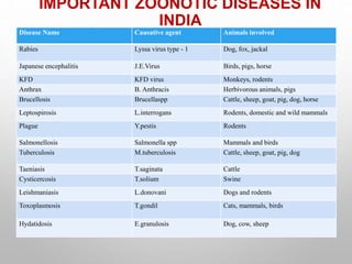 IMPORTANT ZOONOTIC DISEASES IN
INDIA
Disease Name Causative agent Animals involved
Rabies Lyssa virus type - 1 Dog, fox, jackal
Japanese encephalitis J.E.Virus Birds, pigs, horse
KFD KFD virus Monkeys, rodents
Anthrax B. Anthracis Herbivorous animals, pigs
Brucellosis Brucellaspp Cattle, sheep, goat, pig, dog, horse
Leptospirosis L.interrogans Rodents, domestic and wild mammals
Plague Y.pestis Rodents
Salmonellosis Salmonella spp Mammals and birds
Tuberculosis M.tuberculosis Cattle, sheep, goat, pig, dog
Taeniasis T.saginata Cattle
Cysticercosis T.solium Swine
Leishmaniasis L.donovani Dogs and rodents
Toxoplasmosis T.gondil Cats, mammals, birds
Hydatidosis E.granulosis Dog, cow, sheep
 