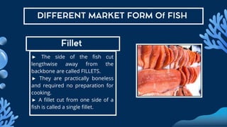 PPT_EPP6 market fish_20250325_120240_0000.pdf