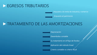 ►EGRESOS TRIBUTARIOS
Impuesto a la renta de industria y comercio
Impuesto al patrimonio
►TRATAMIENTO DE LAS AMORTIZACIONES
Depreciación
Desembolso contable
Su tratamiento en el flujo de fondos
Aplicación del método lineal
Criterio contable vs criterio fiscal
 