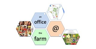 the 
farm 
@ 
an 
office 
 