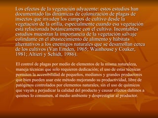Los efectos de la vegetación adyacente: estos estudios han documentado las dinámicas de colonización de plagas de insectos que invaden los campos de cultivo desde la vegetación de la orilla, especialmente cuando esa vegetación está relacionada botánicamente con el cultivo. Incontables estudios muestran la importancia de la vegetación salvaje colindante en el abastecimiento de alimento y hábitats alternativos a los enemigos naturales que se desarrollan cerca de los cultivos (Van Emden, 1965; Wainhouse y Coaker, 1981; Altieri y Schidt, 1986). El control de plagas por medio de elementos de la misma naturaleza, maneja técnicas que solo requieren dedicación; el uso de estas técnicas permiten la accesibilidad de pequeños, medianos y grandes productores que bien pueden usar este método mejorando su productividad, libre de patógenos controlados por elementos naturales, sin el uso de químicos que vayan a perjudicar la calidad del producto y causar efectos dañinos a quienes lo consumen, al medio ambiente y desprestigiar al productor. 