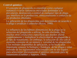 Control químico:  El concepto de plaguicida es entendido como cualquier sustancia o varias sustancias mezcladas destinadas a la prevención, destrucción o control de cualquier tipo de plaga, que interfiera en la producción, almacenamiento o comercio de los productos obtenidos. La aplicación de los plaguicidas está determinado de acuerdo a la plaga a erradicar o controlar (Reyes, 1990).  La influencia de los hábitos alimenticios de la plaga en la selección del plaguicida a utilizar, ha sido discutida; Hay muchas otras condiciones especificas que pueden alterar completamente y multiplicar la efectividad de un plaguicida o el tipo de tratamiento, sin embargo, la selección de otro con el aumento constante de un número y variedad de los plaguicidas y los métodos disponibles de aplicación, se ha hecho más importante conocer la biología y fisiología  de las plagas y estar enterado de los reglamentos relacionados con su uso seguro para seleccionar juiciosamente el químico adecuado para su tratamiento.(Gunther y Jeppson, 1964). 