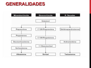 GENERALIDADESGENERALIDADES
 