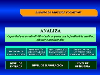 EJEMPLO DE PROCESOS COGNITIVOS




                             ANALIZA
Capacidad que permite dividir el todo en partes con la finalidad de estudiar,
                        explicar o justificar algo


                   OBSERVACIÓN      DESCOMPOSICIÓN        INTERRELACIONAR
 RECEPCIÓN DE     SELECTIVA DE LA   EN PARTES DE LA        LAS PARTES PARA
LA INFORMACIÓN     INFORMACIÓN       INFORMACIÓN        EXPLICAR O JUSTIFICAR



  NIVEL DE                                                   NIVEL DE
  ENTRADA             NIVEL DE ELABORACIÓN                  RESPUESTA
 