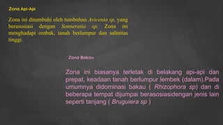 PPT_Estuaria_zona mangrove_Doni_anggiat_Siregar.pptx