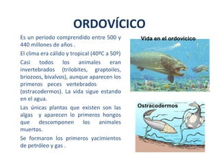 Es un periodo comprendido entre 500 y
440 millones de años .
El clima era cálido y tropical (40ºC a 50º)
Casi todos los animales eran
invertebrados (trilobites, graptoiles,
briozoos, bivalvos), aunque aparecen los
primeros peces vertebrados
(ostracodermos). La vida sigue estando
en el agua.
Las únicas plantas que existen son las
algas y aparecen lo primeros hongos
que descomponen los animales
muertos.
Se formaron los primeros yacimientos
de petróleo y gas .
ORDOVÍCICO
Trilobites
Ostracodermos
Vida en el ordovícico
 
