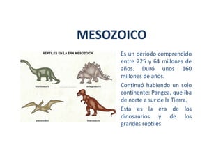 Es un periodo comprendido
entre 225 y 64 millones de
años. Duró unos 160
millones de años.
Continuó habiendo un solo
continente: Pangea, que iba
de norte a sur de la Tierra.
Esta es la era de los
dinosaurios y de los
grandes reptiles
MESOZOICO
 