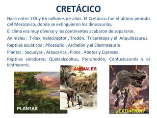 Hace entre 135 y 65 millones de años. El Cretácico fue el último período
del Mesozoico, donde se extinguieron los dinosaurios.
El clima era muy diverso y los continentes acabaron de separarse.
Animales : T-Rex, Velociraptor , Trodón, Triceratops y el Anquilosaurus.
Reptiles acuáticos : Pliosaurio , Archelón y el Elasmosaurio.
Plantas : Secuoyas , Araucarias , Pinos , Abetos y Cipreses .
Reptiles voladores: Quetzalcoaltus, Pteranodón, Confuciusornis y el
Ichthyornis.
CRETÁCICO
PLANTAS
JURÁSICASPLANTAS
ANIMALES
¿EXTINCIÓN?
 
