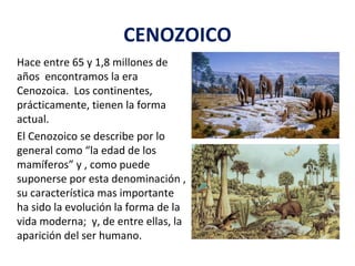 CENOZOICO
Hace entre 65 y 1,8 millones de
años encontramos la era
Cenozoica. Los continentes,
prácticamente, tienen la forma
actual.
El Cenozoico se describe por lo
general como “la edad de los
mamíferos” y , como puede
suponerse por esta denominación ,
su característica mas importante
ha sido la evolución la forma de la
vida moderna; y, de entre ellas, la
aparición del ser humano.
 