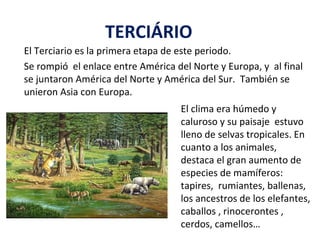 El Terciario es la primera etapa de este periodo.
Se rompió el enlace entre América del Norte y Europa, y al final
se juntaron América del Norte y América del Sur. También se
unieron Asia con Europa.
 
 
 
 
TERCIÁRIO
El clima era húmedo y
caluroso y su paisaje estuvo
lleno de selvas tropicales. En
cuanto a los animales,
destaca el gran aumento de
especies de mamíferos:
tapires, rumiantes, ballenas,
los ancestros de los elefantes,
caballos , rinocerontes ,
cerdos, camellos…
 
