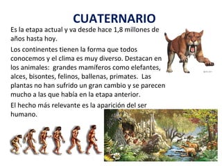Es la etapa actual y va desde hace 1,8 millones de
años hasta hoy.
Los continentes tienen la forma que todos
conocemos y el clima es muy diverso. Destacan en
los animales: grandes mamíferos como elefantes,
alces, bisontes, felinos, ballenas, primates. Las
plantas no han sufrido un gran cambio y se parecen
mucho a las que había en la etapa anterior.
El hecho más relevante es la aparición del ser
humano.
 
 
 
 
CUATERNARIO
 