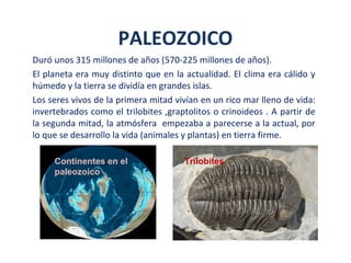 Duró unos 315 millones de años (570-225 millones de años).
El planeta era muy distinto que en la actualidad. El clima era cálido y
húmedo y la tierra se dividía en grandes islas.
Los seres vivos de la primera mitad vivían en un rico mar lleno de vida:
invertebrados como el trilobites ,graptolitos o crinoideos . A partir de
la segunda mitad, la atmósfera empezaba a parecerse a la actual, por
lo que se desarrollo la vida (animales y plantas) en tierra firme.
PALEOZOICO
Continentes en el
paleozoico
Trilobites
 