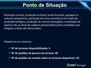 Ponto de Situação
Plantação vinícola, produção frutícola, horto-frutícola, pastagens e
culturas temporárias, plantação de ervas aromáticas em modo de
produção biológica, produção de culturas protegidas e instalação de
apiários são as áreas de negócio apresentadas pelos candidatos que
integram a Bolsa de Interessados.
Plataforma em números:
 Nº de terrenos disponibilizados: 5
 Nº de pedidos de procura de terreno: 48
 Nº de pedidos de contato sobre os terrenos disponíveis: 63
 