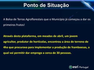Ponto de Situação
A Bolsa de Terras Agroflorestais que o Município já começou a dar os
primeiros frutos!
Através desta plataforma, em meados de abril, um jovem
agricultor, produtor de hortícolas, encontrou a área de terreno de
4ha que procurava para implementar a produção de framboesas, a
qual vai permitir dar emprego a cerca de 30 pessoas.
 