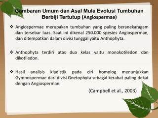 bukti evolusi angiospermae