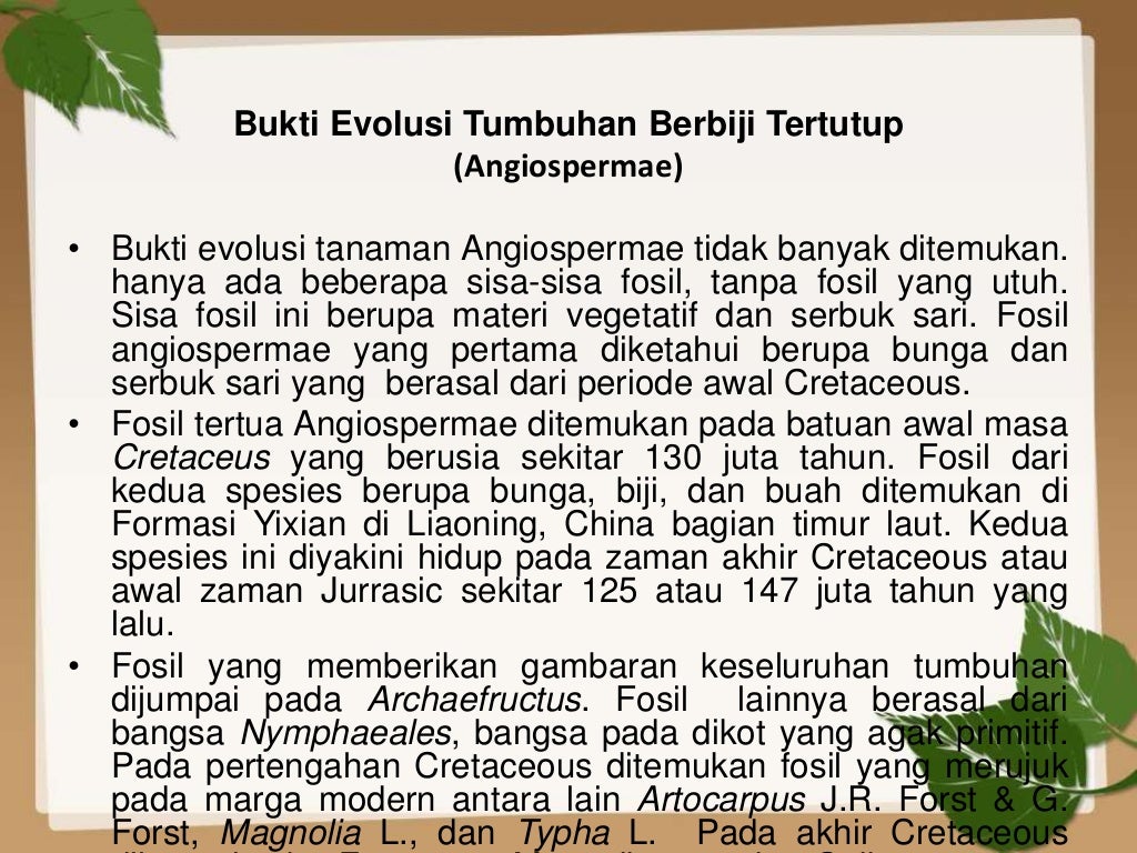 bukti evolusi angiospermae