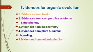 Comprehensive Overview of Evolutionary Biology and Origin of Life | PPT
