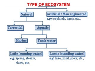 Comprehensive Overview of Environmental Science: Ecosystems ...